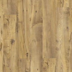 BACL40029 